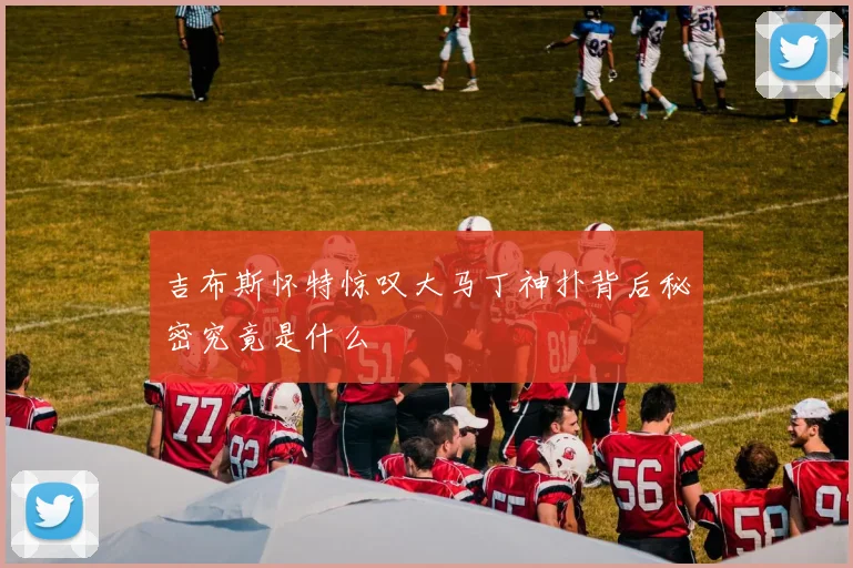 吉布斯怀特惊叹大马丁神扑背后秘密究竟是什么